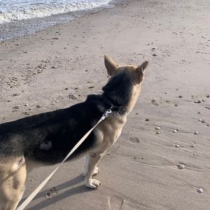 Meet your Posher, Richard